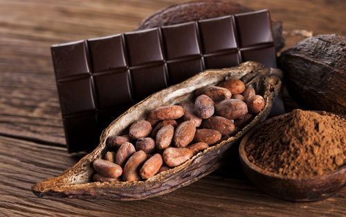 Seminar: Von der Kakaobohne zur Edelschokolade - chocolat
